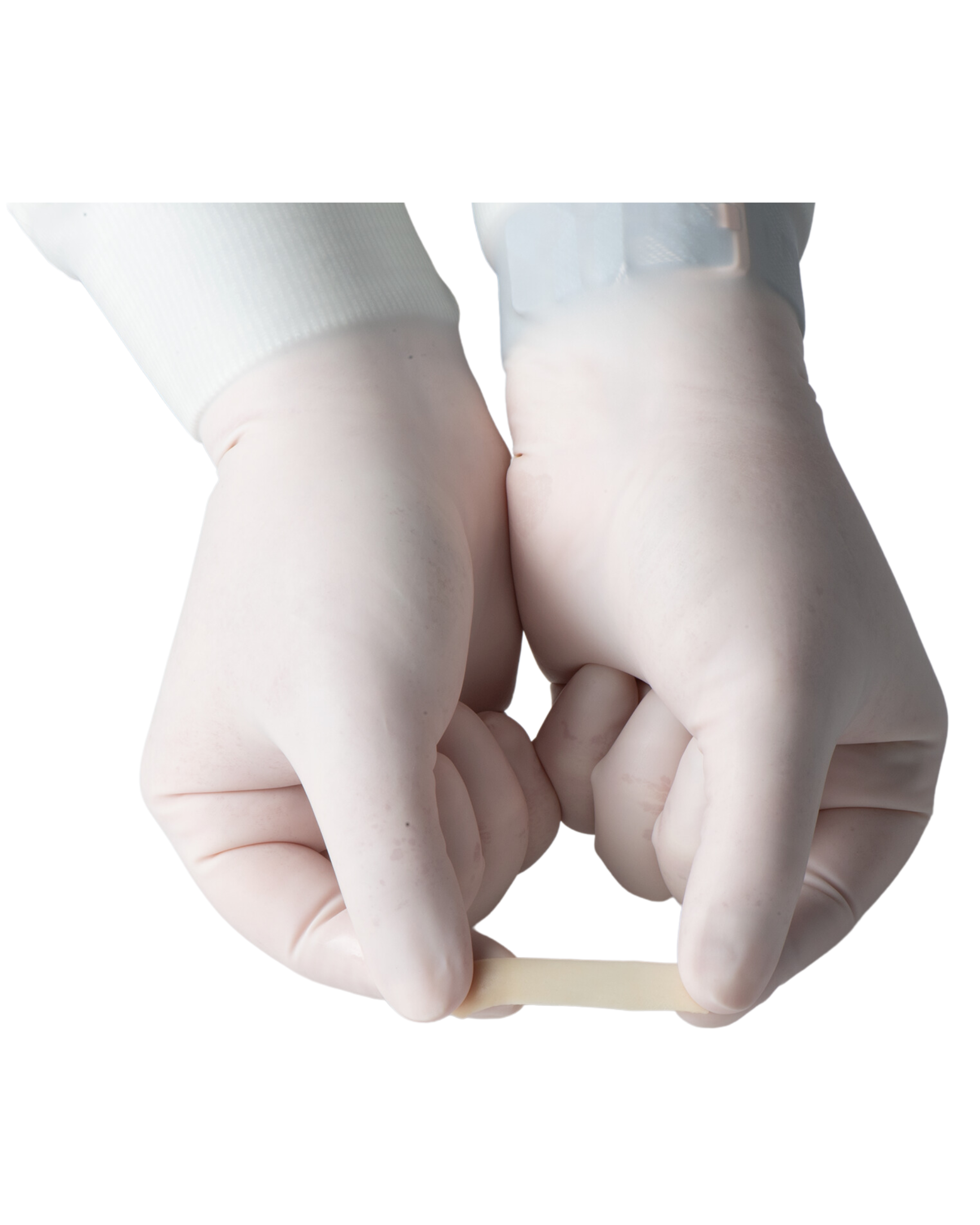 Oracell Acellular Dermis