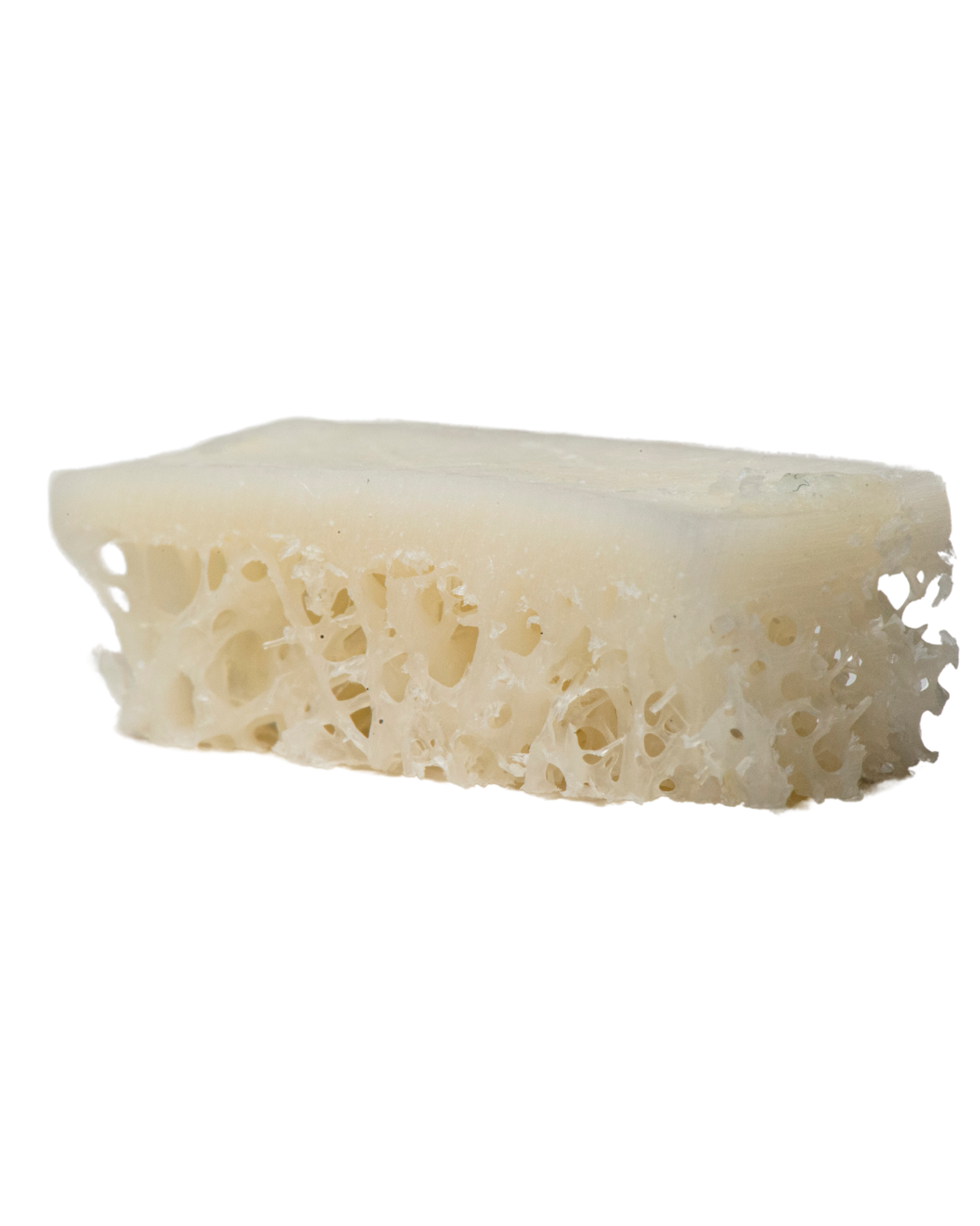 Oragraft Unicortical Block 